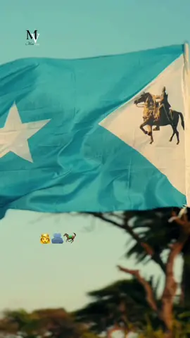 Markan maqlo calanka hala badalo  yadoo fican tahay wax lagu wada  qanacsan yahay in la dhisto😭😂#ssckhatumo🐎❤🙏 #ssckhatumo🐎 