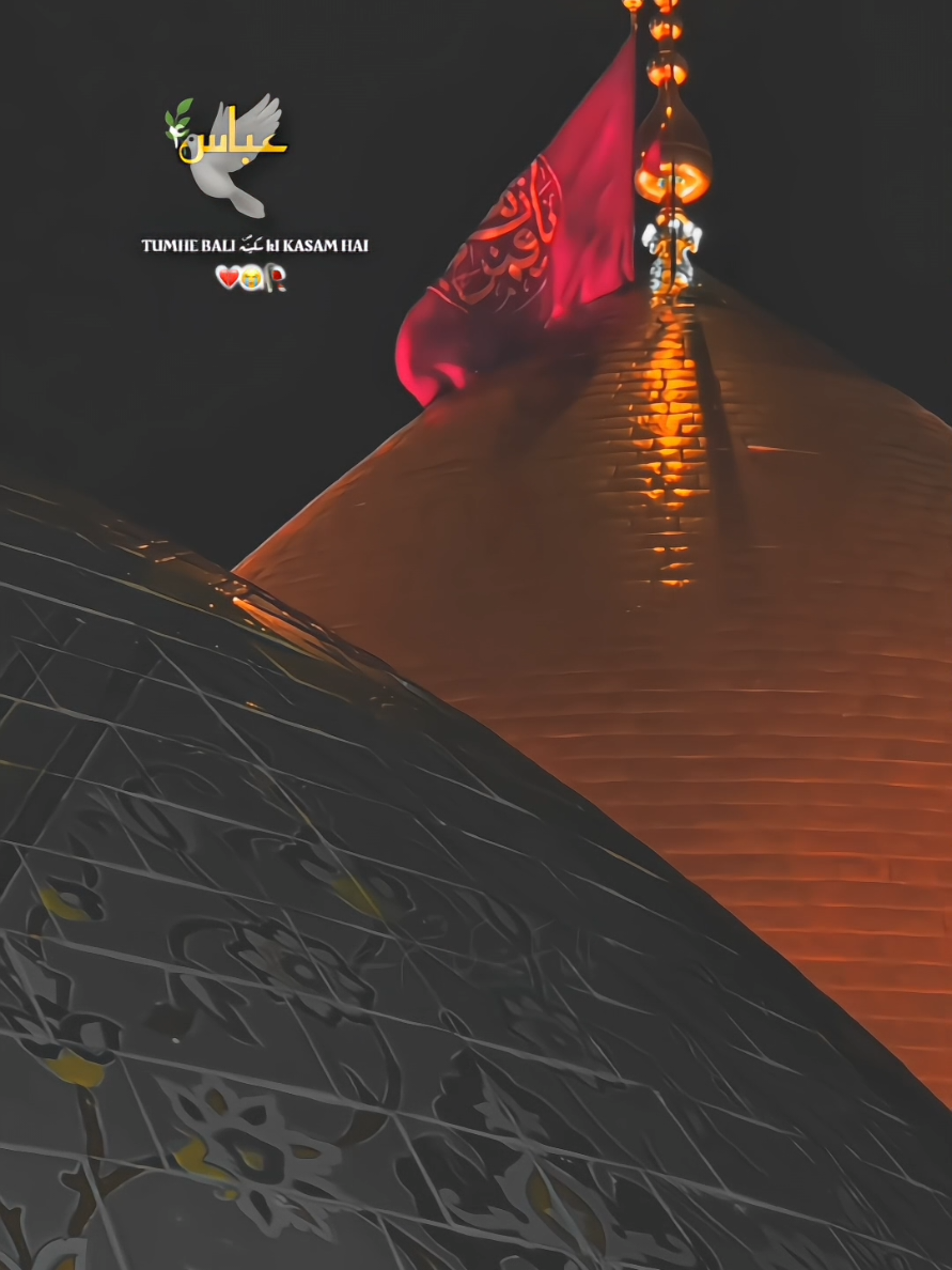 Sach mein mola toot gaya hun 😭💔.koi nh hai mere 😭😩💔.apke siva. #bsmoulabulalen🙏🏻  #bibisakinaع😭  #hayeabbas😭😭😭  #hayehussain🙏🏻😭  #capcut_edit  #100kviews  #10millionviews  #karbala_karbala😭🏴 