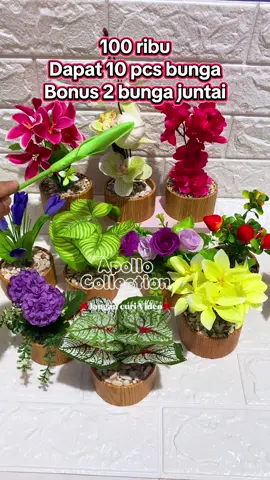 Paket bunga 12 pcs lengkap dengan pot #bungahias #promomakangajian #bunga12pcs #100rbdapat12pcs 