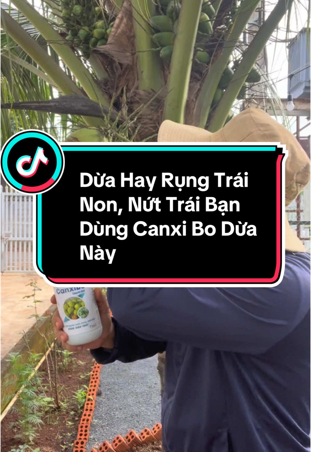 Canxi Bo Dành Cho Dừa Này Hiệu Quả Lắm Nè#ongbonongdanreview #phanbon #canxibodua #canxibo 