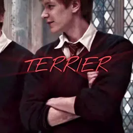 ну мой #fredweasley #weasleytwins #harrypotter #editing #хогвартс #фредуизли 