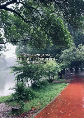 প্রত্যাশার হতাশা দূর হোক, যেখানে যার শান্তি মিলে সেখানেই তার ঠাঁই হোক।🖤 #status #caption #writer #mahu_sohu #weather 