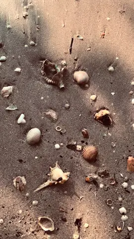 #fypage #kerang #pantaivibes 