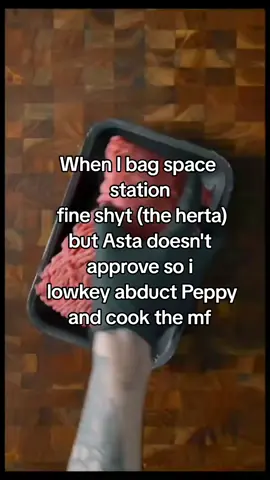 No peppies were harmed in the making of this video #hsr #HonkaiStarRail #theherta #herta #hertahonkaistarrail #asta #astahonkaistarrail #peppyhsr #hertapegsme 