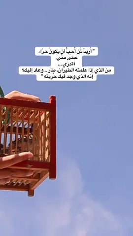 #اقتباسات #جلال_الدين_الرومي 