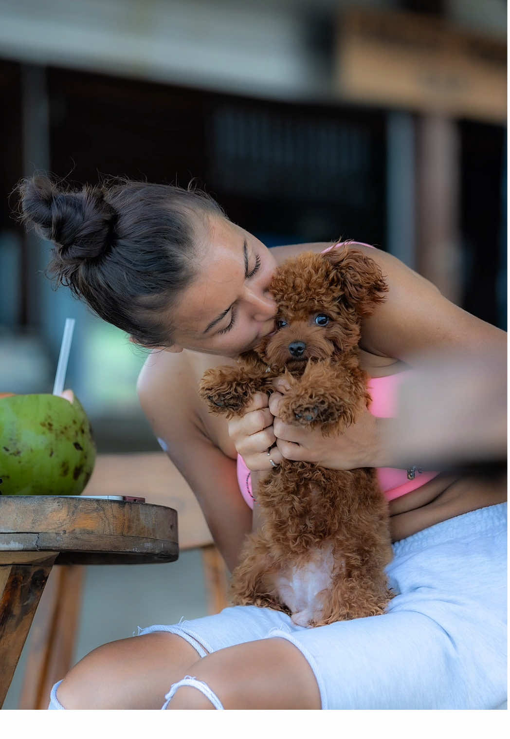 #dog #toypoodle #dogphotoshoot #Love 