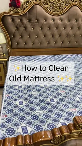 How to Clean Old Mattress | Mattress ko ghar par saaf karne ka Asaan Tareeqa? #cleaningtips #deepclean #clean #mattress #oldmattress 