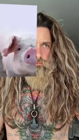 Which Animal is your twin 🤣🤣#funny #funnyfilter #disney #animaltwin #friends 