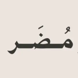 #fyp #explore #تميم #مضر #السعودية #عتيبه  قَيسٌ وَخِندِفُ أَهلُ المَجدِ قَبلَكُمُ لَستُم إِلَيهِم وَلا أَنتُم لَهُم خَطَرُ موتوا مِنَ الغَيظِ غَمّاً في جَزيرَتِكُم لَم يَقطَعوا بَطنَ وادٍ دونَهُ (مُضَرُ)#FunkNoCapCut #Funk 