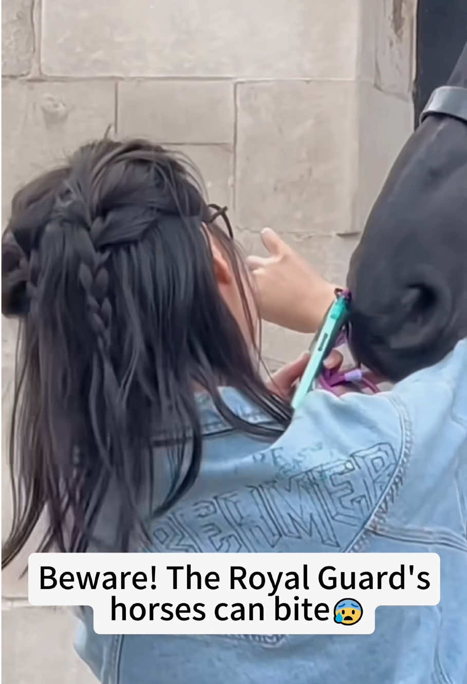 Be careful,the Royal Guards’ horses can bite🐴‼️#kingsguard #horse #kinghorses #royalhorse #royal #royalguard #tourist #tiktok #usaus #foryou 