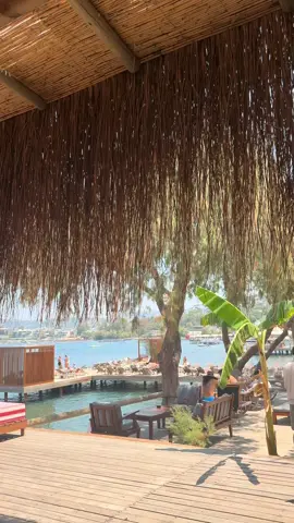 📍Magi Beach Yalıkavak  İçerideki ambiyans ve dekorlar çok güzeldi. İçerde en az 2500₺ harcama limiti mevcut. Masa tenisi ve diğer etkinlikler içinde alan hep vardı ve deniz çok temizdi. Fiyatlar ise Bodrum’a göre normaldi denilebilir. Örnek vermek gerekirse: • Magi Burger 1196 •Parmak Patates 603₺ •Fettucine Alfredo 1038₺ •Burrata Pizza 1370₺  Diğer fiyat bilgileri içinde yazabilirsiniz 🍀  #fypシ゚viral #foryourpage #kesfetteyiz #bodrum #holidays #fyp #tatil 