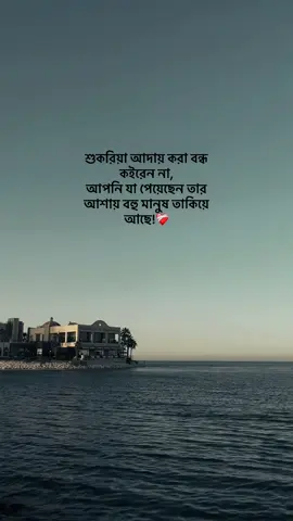 শুকরিয়া আদায় করা বন্ধ কইরেন না, আপনি যা পেয়েছেন তার আশায় বহু মানুষ তাকিয়ে আছে!❤️‍🩹 #creatorsearchinsights #foryou #fypシ゚viral #foryoupage 