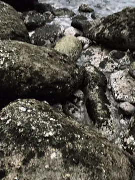 Một người cứ mãi sống trong…!