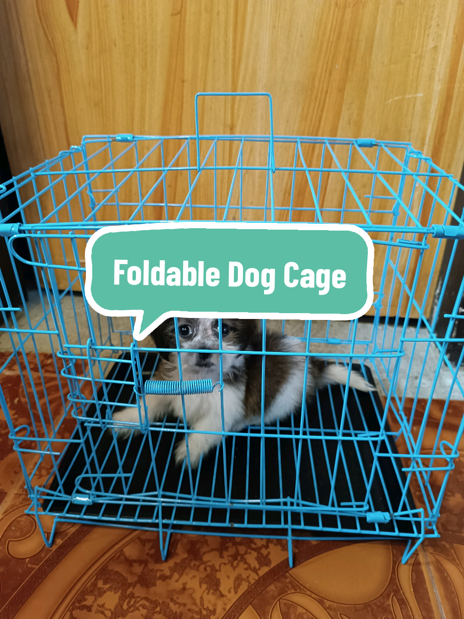Foldable Dog Cage #dogcage #foldabledogcage #foldabledogcagewithpooptray 