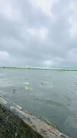 স্বভাবটা হয়তো সবার পছন্দ নয়... কিন্তু ভালোবাসাটা ছিলো একদম নিখুঁত #fyp #virel #trading #tiktik #foryou 