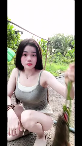 #gaique #emgaimientay #70tayninh #xuhuong 