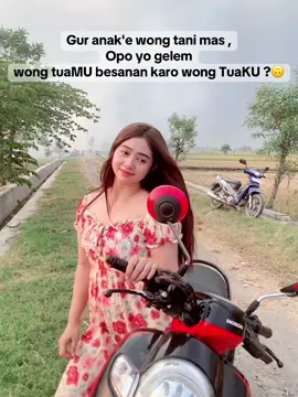 Piye mas kita beda nasib..😌#petanicantik #melas #sawahpadi #trendingsong #fyp #mojokertotiktok 