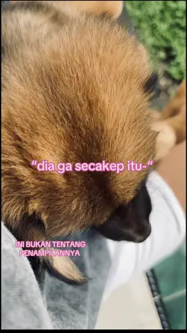 ini mah aku nya yg kecintaan💔 #4u #foryou #lewatberanda #xybca #katakata #crush 