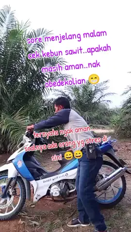 cek kebun sawit sore menjelang malam #kontenkreatorpemula #tiktoklive #fypシ゚viral #jangkauanluastiktok #lucu_ngakak #semuaorang #pengikut #tiktokngakakabis @PlecitTerbang🚀 