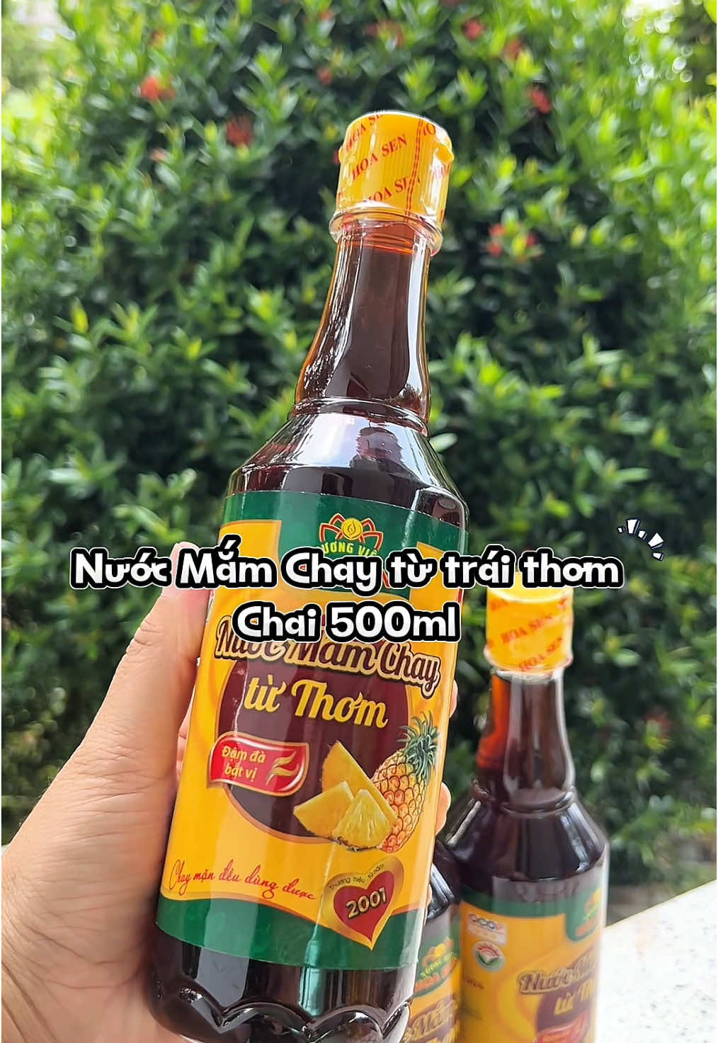 Nước Mắm Chay từ trái thơm 500ml 