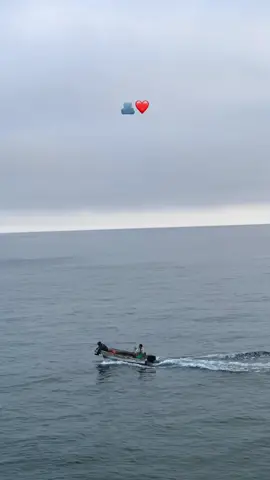 #🇩🇿🇲🇦🇹🇳 