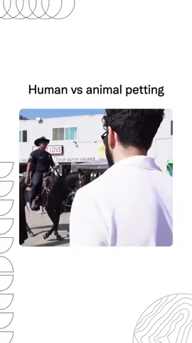 Animals have no say in what humans decide to do to them. We are sure the horse would prefer to not be carrying someone 🤦‍♀️ DM for credit.