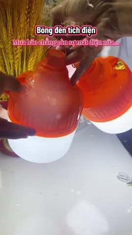 Combo 2  bóng đèn tích điện! 