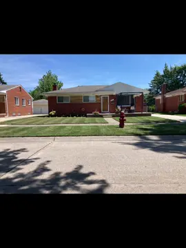 One leg & a mower  People always in shock when they see how good I do this #stripes #lawntok #satisfying #amputee #lawncare 