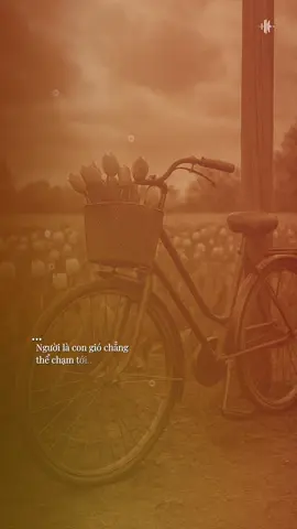 Người là cơn gió...em đâu thể nắm được... #tamtrang #tinhyeu #sad #yfp #nhachaymoingay #music #xuhuong 