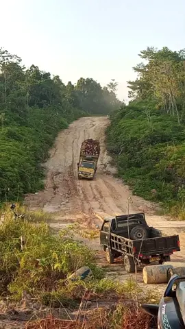 #trukangkutsawit