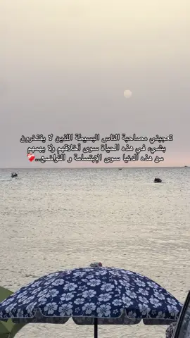 #fypシ゚ #foryoupage #dz #fypviralシ 