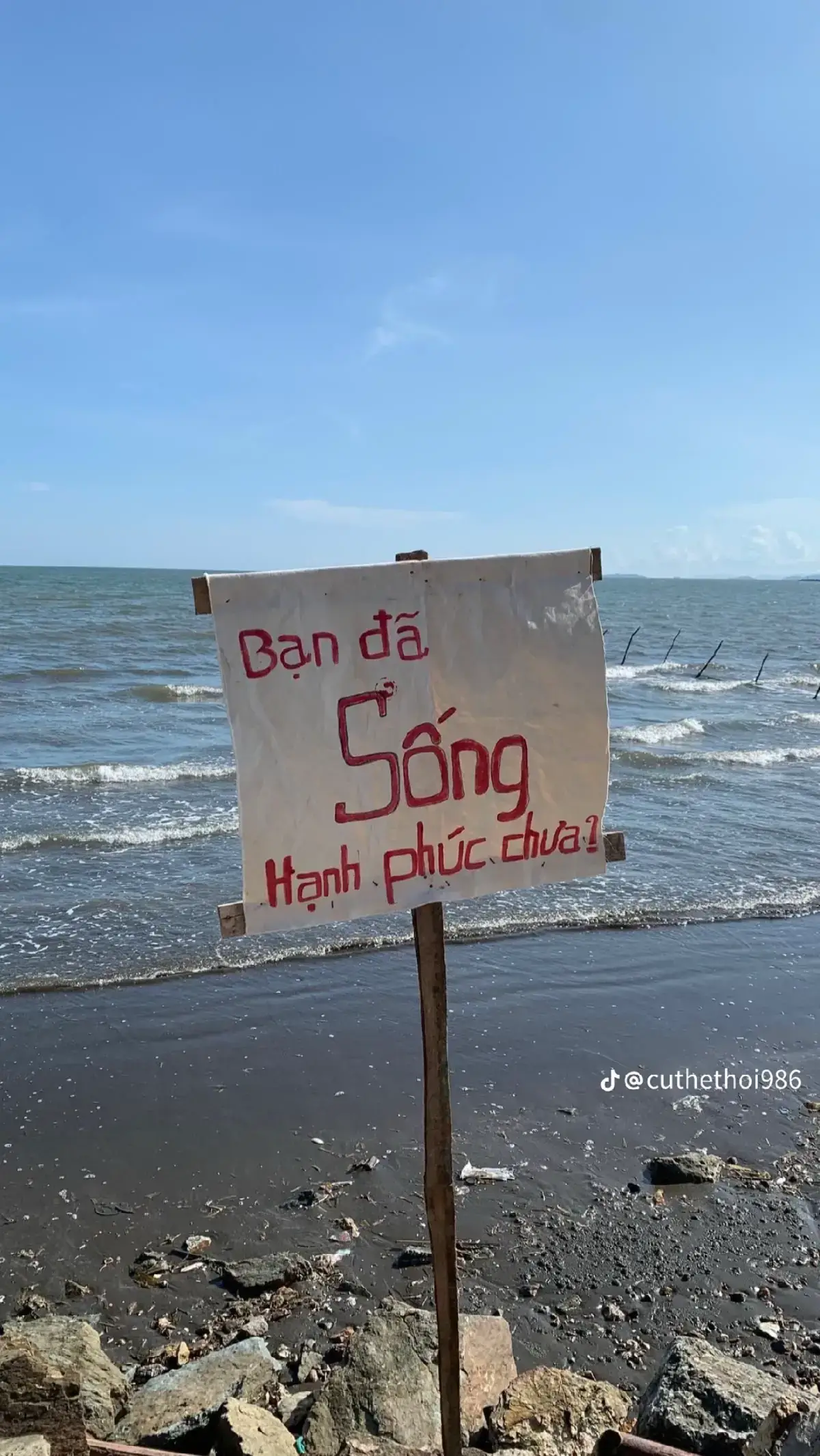 #xuhuongtiktok #viraltiktok #viral #xuhuong 