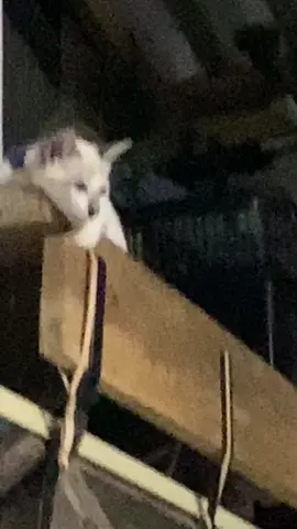 #แต่
