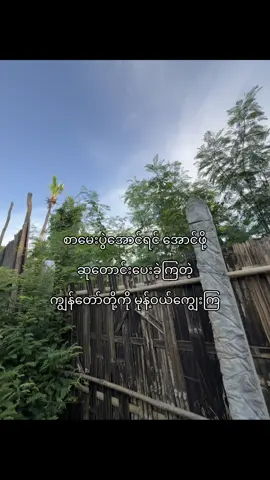 ကြားကြလား#ptn9i #likeလေးတော့ပေးပါ😣💗 #fypシ゚viral #foryou #views #fyppppppppppppppppppppppp #myanmar #fypviralシ #views #fyppppppppppppppppppppppp 