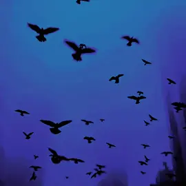 Deja vu 235: Time #agnod #foryou #fyp 