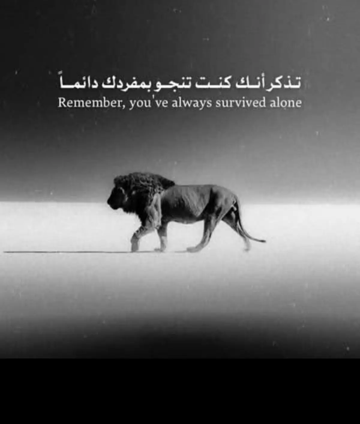 #اكسبلور #عباراتكم_الفخمه📿📌 #foryoupage #viral #tiktoknews 
