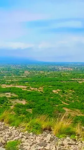 amir niazi sohrab khel brand