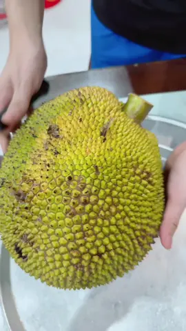 Tuổi thơ dữ dội  tràn về khi xưa trên ngoại có cây mít này rất to..! nay hưởng lộc ăn của c @Tươi Nabi shop  nè.!.ngon lém#myphamyskin #ty_group #sonmaiia #kembodycollagenx5 