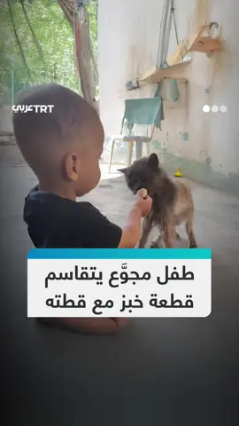 مشهد إنساني مؤثر لطفل يتقاسم قطعة خبز مع قطة في ظل تفشي المجاعة في قطاع #غزة بفعل الحصار الإسرائيلي المشدد. #تفاعل ليصل إليك كل جديد