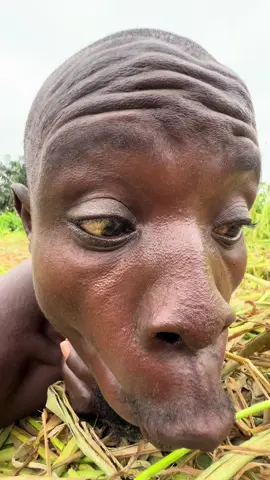 #ahoufe_ #viral #trending #fyp #trend 