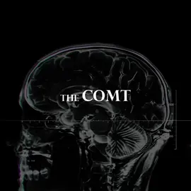 The brain’s neurochemical balance helps explain impulsive or aggressive behavior. The COMT and MAOA genes play a key role in determining how a person processes trauma, stress, and emotions. #BrainScience #Genetics #COMT #MAOA #Neuroscience #MentalHealth #PersonalityTraits #PsychologyFacts #ImpulseControl #TikTokEducation #Neurobiology #DarkSideOfTheMind 