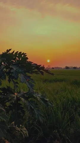 sangat uadem ayeum.😇 #penyejukhati #vibes #story #sholawatnya_bikin_adem #sholawatmerdu #aestheticvideos #fyppppppppppppppppppppppp 