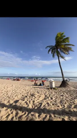 é a bahia 🌴 #bahia #fyp #fyyyyyyyyyyyyyyyy #livephoto 