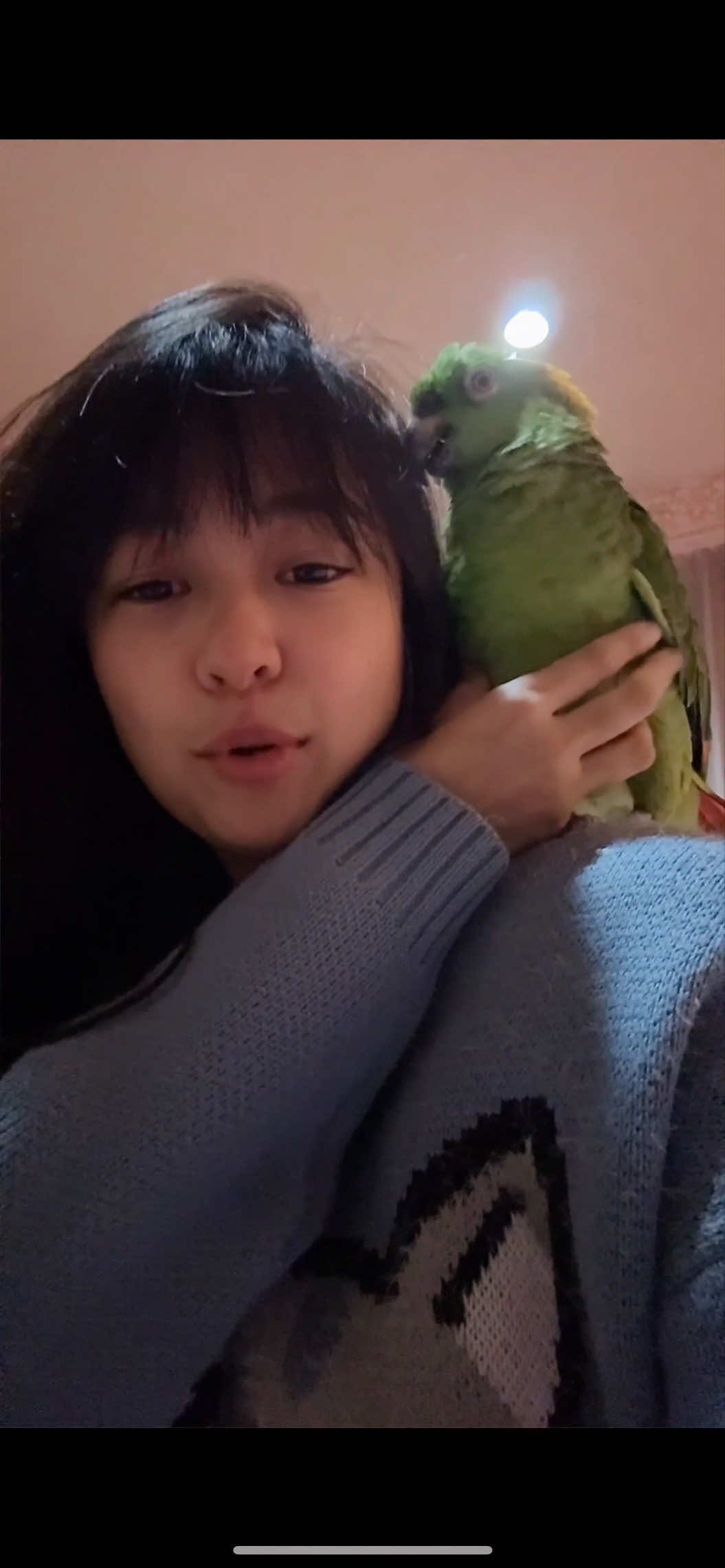 Me & Sasha are warming up the vocals — siapa mau join karaoke session bareng kita? Parrot edition, of course!🎵🦜💖 • • • • • #sasha #talkingparrot #lucu #cute #funny #baru #unik #viral #trending #fyp #foryou 