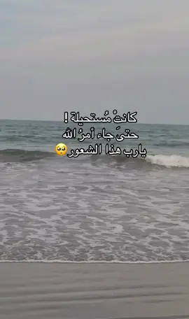 #fyp #foryou #explore #albusaidia_gifts يارب