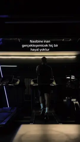nasibine inan