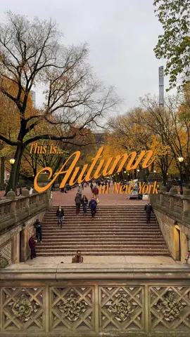 pov: it’s an early saturday morning in november and you just stepped out of your upper west side apartment to go for a walk in the park. the air is crisp, the skies are grey, and a quick gust of wind sends the autumn leaves swirling around you as you make your way across columbus avenue. you stop and say hello to your favorite baristas at the coffee shop around the corner before heading on your way. as you take the first sip of your cappuccino, you pop your airpods in, and press play on your favorite fall playlist. in this moment, you feel like kathleen kelly in the opening sequence of you’ve got mail and for a brief moment, everything in the world feels at peace. and that’s just a tiny slice of the magic of autumn in new york 🍁🚕🌇🎃🍂✨ shot on iphone 4k at 30fps upper west side, central park life in manhattan #ethanbarberco #newyorkcity #autumninnewyork #uws #upperwestsidenyc #upperwestside #autumn #shotoniphone #ocotber #november #lifeinmanhattan #nostalgia #90s #00s #2000s #nycgo #centralpark #newyorker #newyorkphotographer #iloveny #nycbucketlist #youvegotmail 
