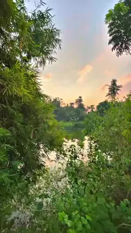 cv.maiwa lintas Trans Sulawesi 
