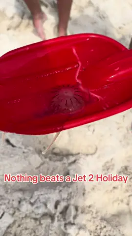 Nothing beats a Jet 2 holiday.  🪼🪼🪼When your day at the beach comes to an end because the jellyfish decide to join the party.  #jet2holidays #jet2 #summervacation #beach #fyp 