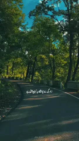 زندگی سے پوچھے یہ کیا چاہتی ہے🍂😞 #foryoupagе #poetry #deeplines #shayri #lines #status #naturevibes #fypシ゚ #viralvideo #growmyaccount 